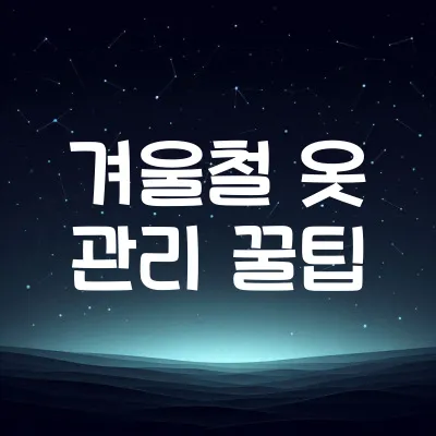 겨울철 옷 관리 팁: 니트, 코트 보관법