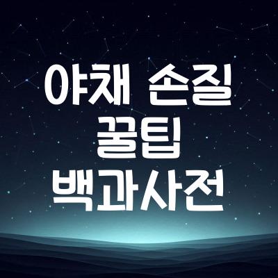 야채 손질 꿀팁 모음 | 야채 쉽게 손질하는 방법