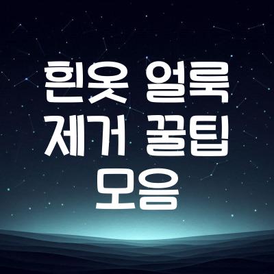 흰옷 얼룩 제거 꿀팁 7가지 | 흰옷 얼룩 지우는 법