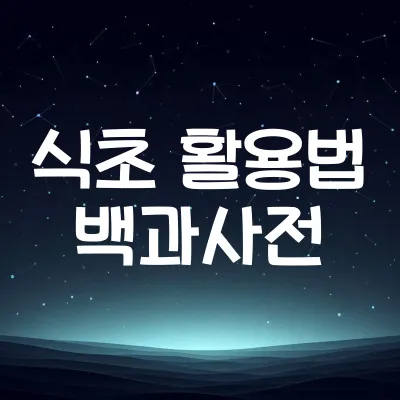 식초 활용 꿀팁 15가지 | 식초 청소 꿀팁