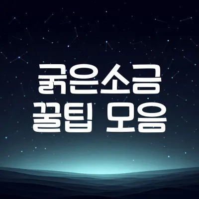 굵은소금 활용 꿀팁 | 굵은소금 청소 및 요리 활용법