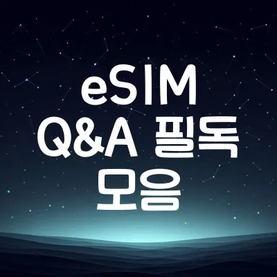 eSIM 사용 시 자주 묻는 질문 모음 (FAQ) | eSIM Q&A 필독 모음