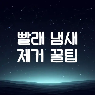 비 오는 날 빨래 냄새 없애는 법 | 세탁·건조 요령 1 비 오는 날 빨래 냄새 없애는 법 | 세탁·건조 요령