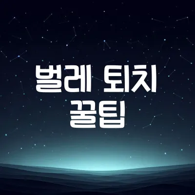 여름철 벌레 퇴치 생활 팁 | 모기·개미 천연 퇴치법 1 여름철 벌레 퇴치 생활 팁 | 모기·개미 천연 퇴치법